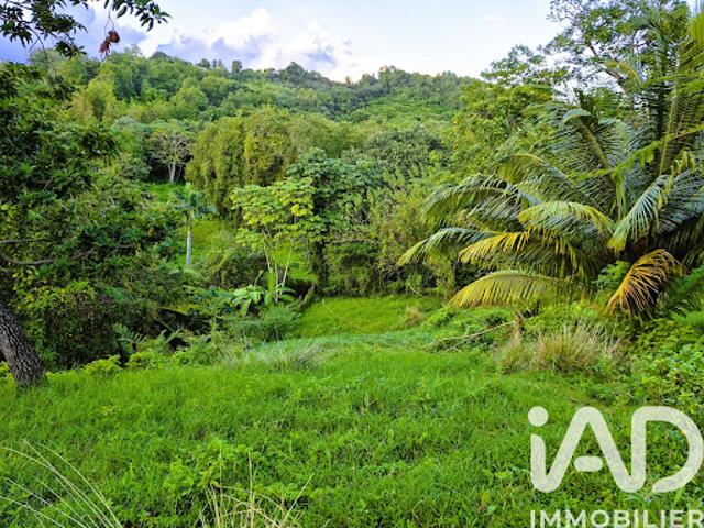Vente Terrain 1405 m2 Ducos