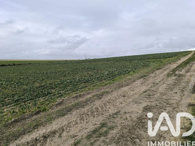 Vente Terrain 1407 m2 Ablancourt