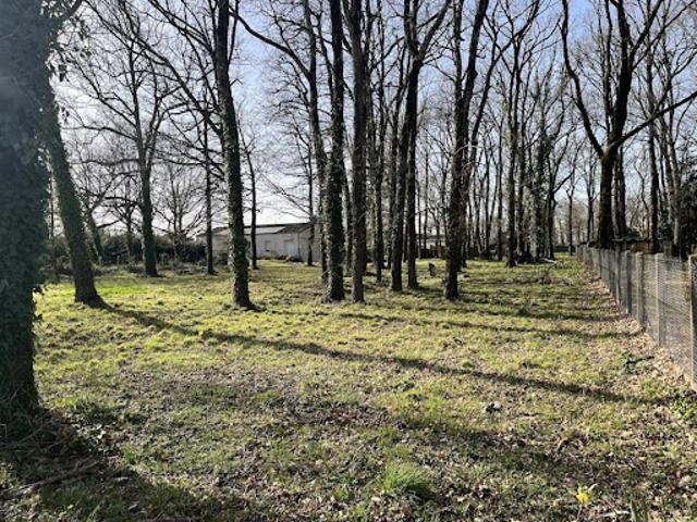 Vente Terrain 1417 m2 Médis