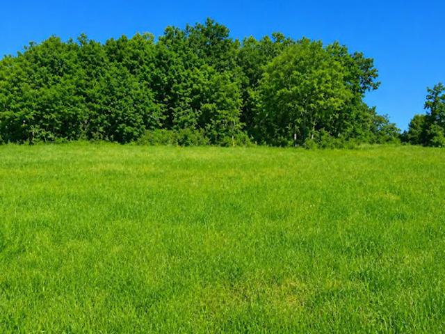 Vente Terrain 1428 m2 Celles