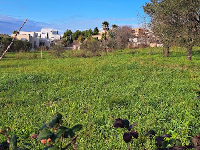 Vente Terrain 1429 m2 Castries