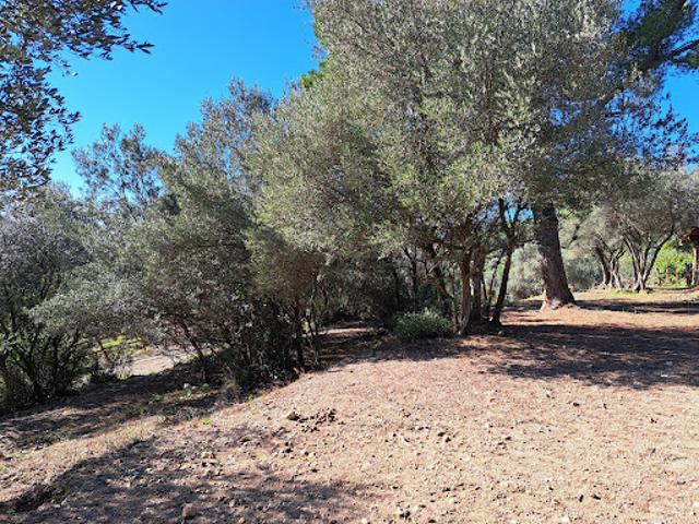 Vente Terrain 1434 m2 Fayence