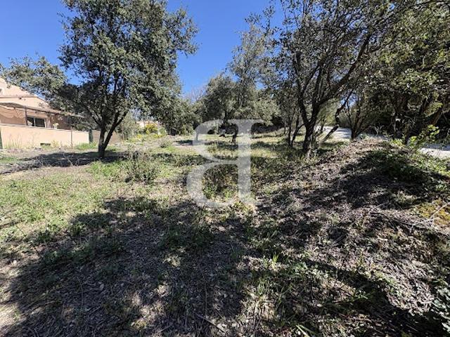Vente Terrain 1435 m2 Bédoin