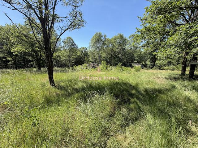 Vente Terrain 14378 m2 Ussac