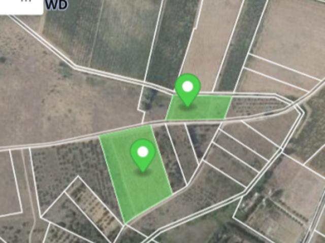 Vente Terrain 14380 m2 Canet