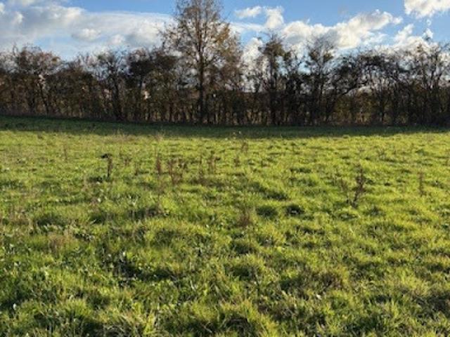 Vente Terrain 1438 m2 Brissarthe