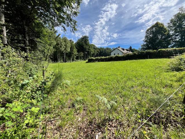 Vente Terrain 1444 m2 Roannes Saint Mary