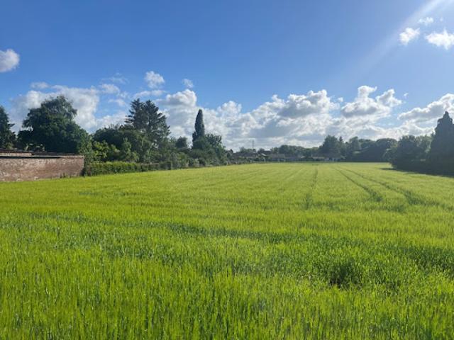 Vente Terrain 1450 m2 Labourse