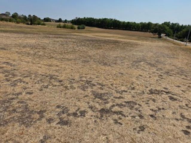 Vente Terrain 1450 m2 Lalbenque