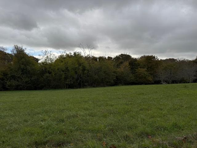 Vente Terrain 1450 m2 Saint exupery