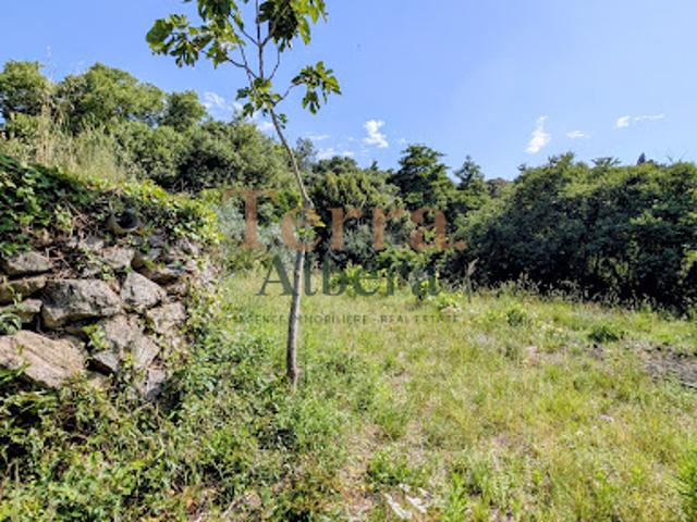 Vente Terrain 1450 m2 Villelongue dels Monts