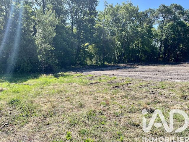 Vente Terrain 1455 m2 La Brède