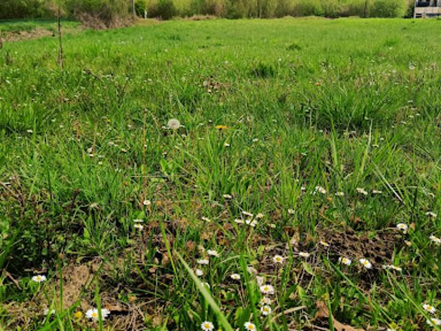 Vente Terrain 1458 m2 Vuillery
