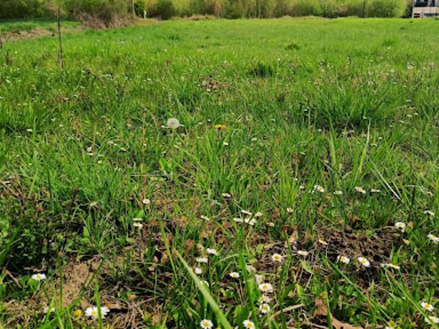 Vente Terrain 1458 m2 Vuillery