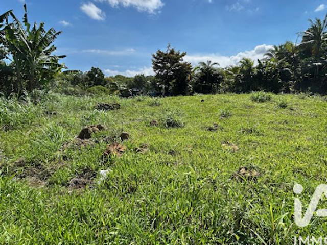 Vente Terrain 1471 m2 Petite ile