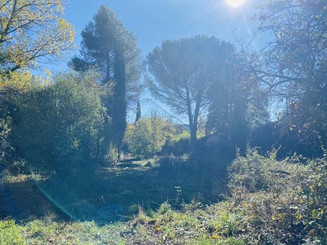 Vente Terrain 1484 m2 Tourves
