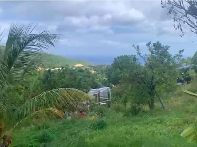 Vente Terrain 1494 m2 Le Morne Vert