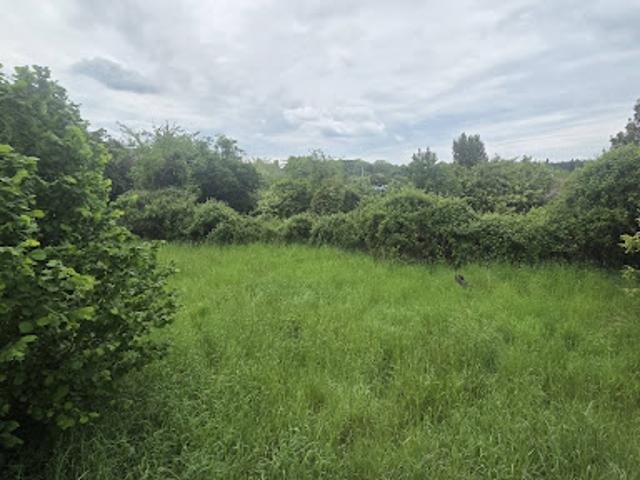 Vente Terrain 1498 m2 Vierzon
