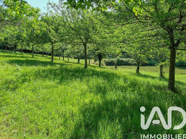 Vente Terrain 15000 m2 Poullaouen