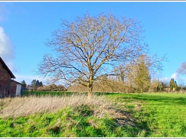 Vente Terrain 1500 m2 Bienvillers au Bois