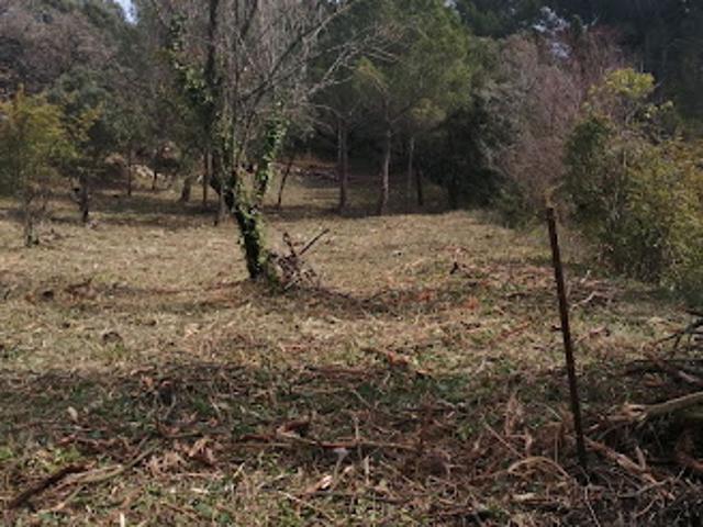 Vente Terrain 1500 m2 La Bastidonne