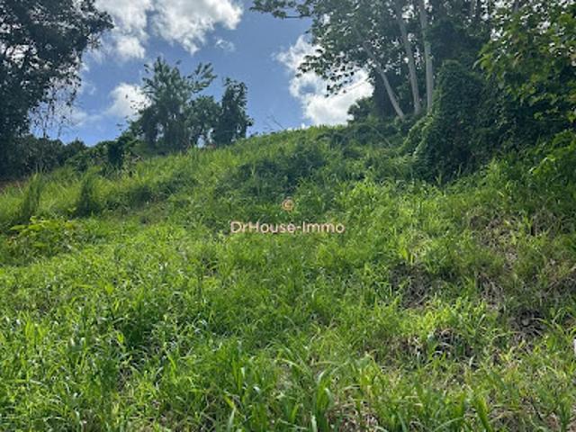 Vente Terrain 1500 m2 Le lamentin