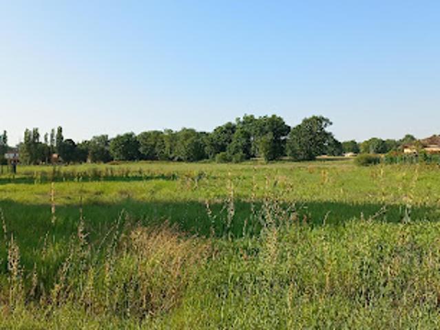 Vente Terrain 1500 m2 Montpon Ménestérol