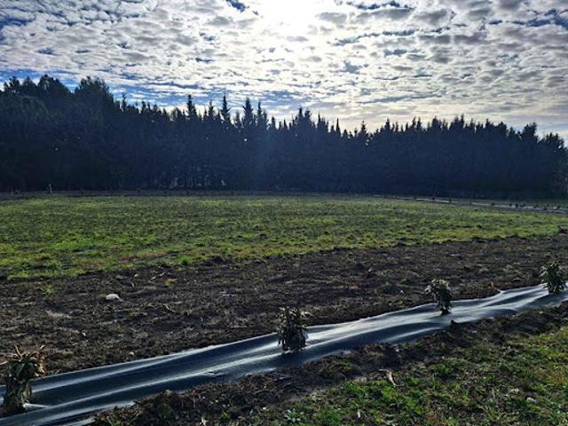 Vente Terrain 1500 m2 Montreal