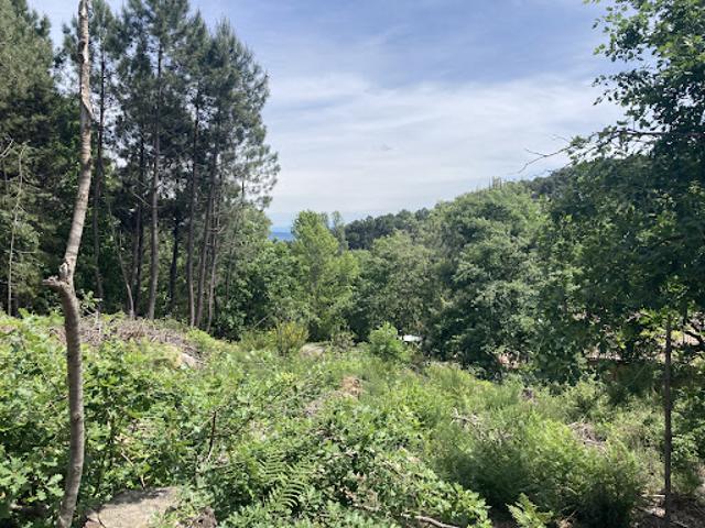 Vente Terrain 1500 m2 Mercuer