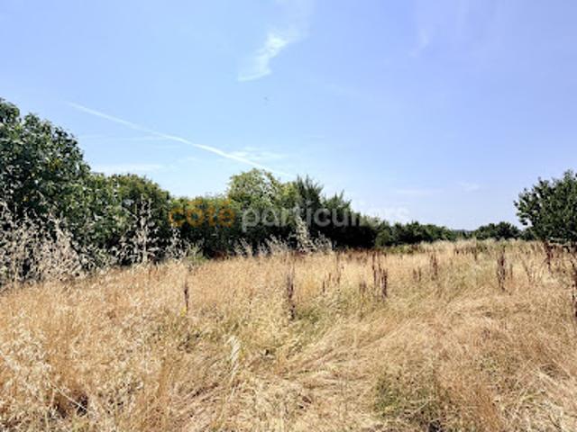Vente Terrain 1500 m2 Mirabel