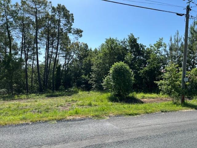 Vente Terrain 1500 m2 Saint André d'Allas