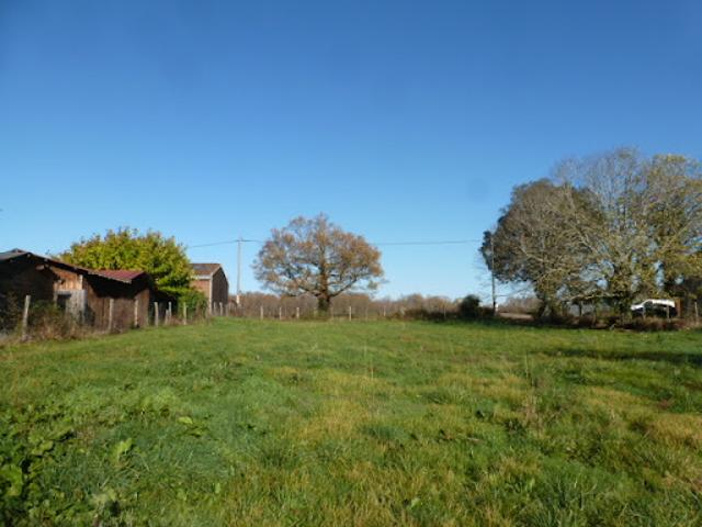 Vente Terrain 1500 m2 Saint Genès de Lombaud