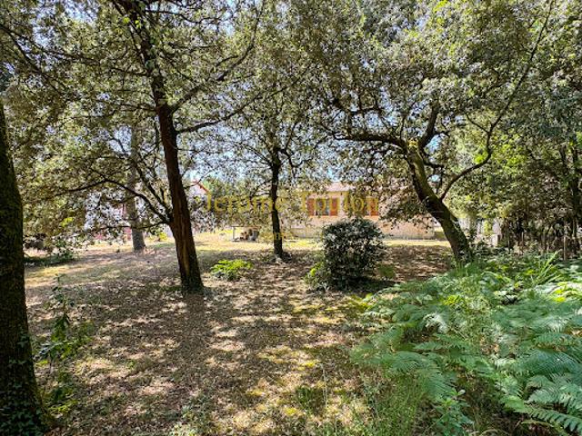 Vente Terrain 1500 m2 Saint Palais sur Mer