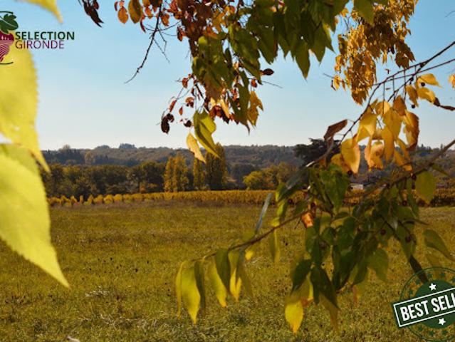 Vente Terrain 1500 m2 Pellegrue