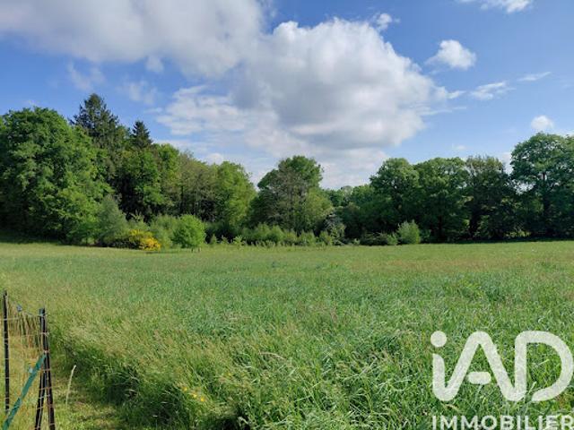 Vente Terrain 1500 m2 Royères