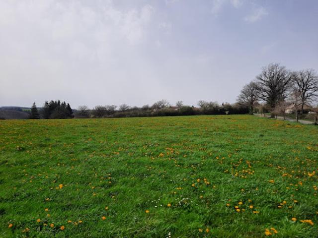 Vente Terrain 1500 m2 Roannes Saint Mary