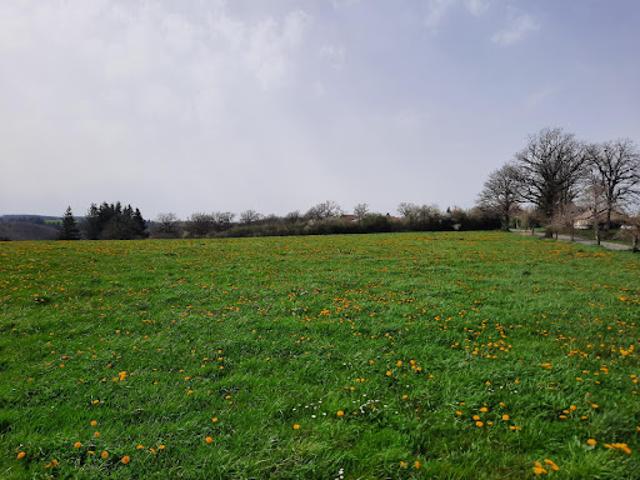 Vente Terrain 1500 m2 Roannes Saint Mary