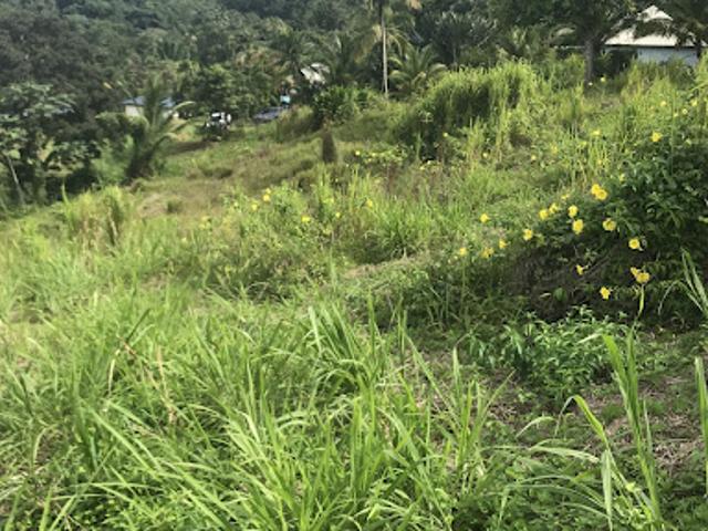 Vente Terrain 1501 m2 Sainte rose