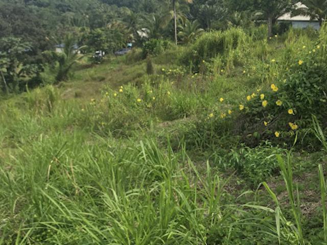 Vente Terrain 1502 m2 Sainte rose