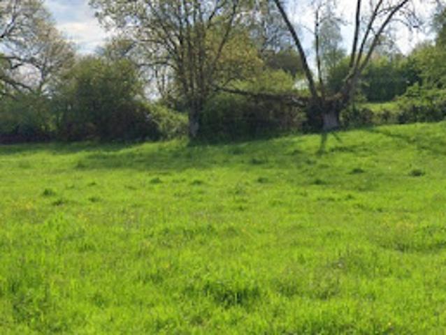 Vente Terrain 1503 m2 Roncherolles en Bray