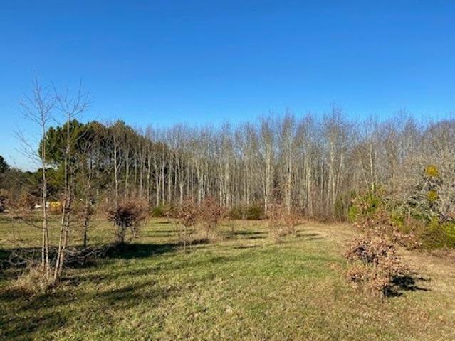 Vente Terrain 1509 m2 Chalagnac