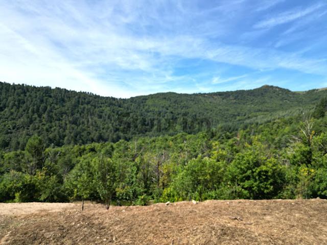 Vente Terrain 1512 m2 Génolhac