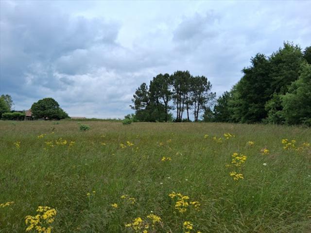 Vente Terrain 1513 m2 Bosset