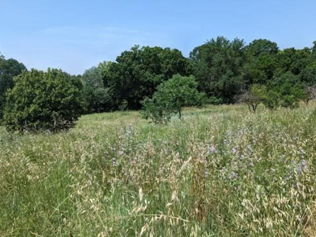 Vente Terrain 1515 m2 Grabels