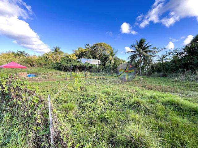 Vente Terrain 1526 m2 Le Moule