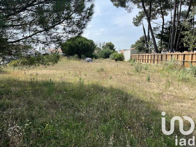 Vente Terrain 1529 m2 Saint Hilaire de Riez