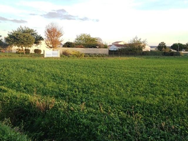Vente Terrain 1530 m2 Maille
