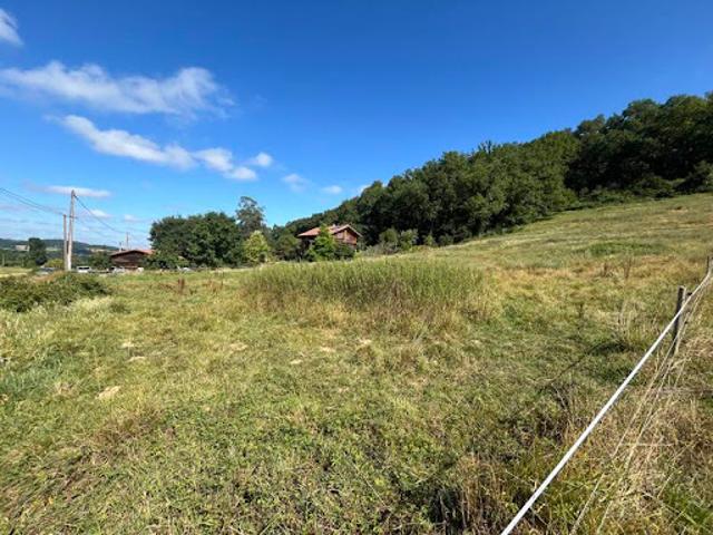Vente Terrain 1531 m2 Peyraube
