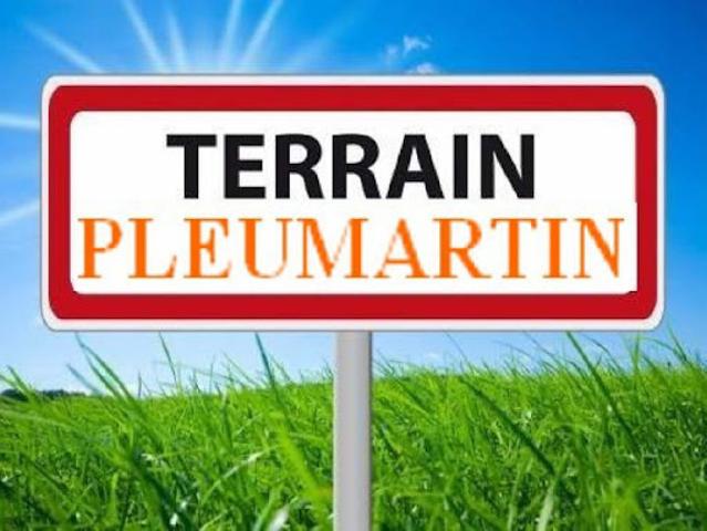 Vente Terrain 1540 m2 Pleumartin