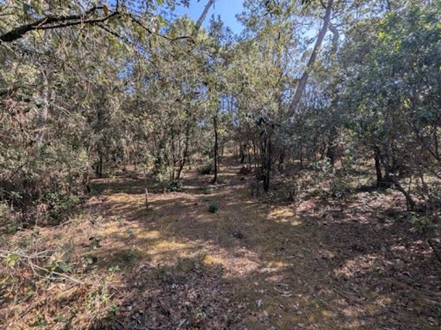 Vente Terrain 1550 m2 Les Mathes
